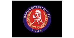 Mahmudiye Belediyesi